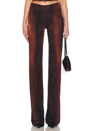 Jean Paul Gaultier Printed Python Mesh Trouser in Brown & Black - Black,Rust. Size XL (also in XS).
