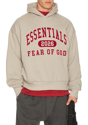 Fear of God ESSENTIALS Classic Hoodie in Smoke Grey - Grey. Size M (also in XS, S, L, XL/1X, XXL/2X).