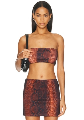 Jean Paul Gaultier Cotton Ribbed Printed Python Bra Top in Brown & Black - Brown. Size M (also in XXS, XS, S, L).