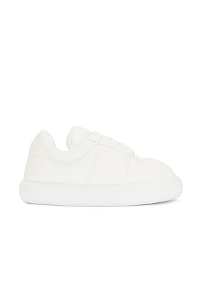 Marni Sneakers in Lily White - White. Size 43 (also in 41).