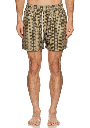 OAS Regalia Swim Shorts in Multi - Brown. Size S (also in M, XL/1X).