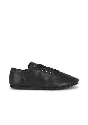 Marni Sneakers in Black - Black. Size 43 (also in 41, 44, 45).