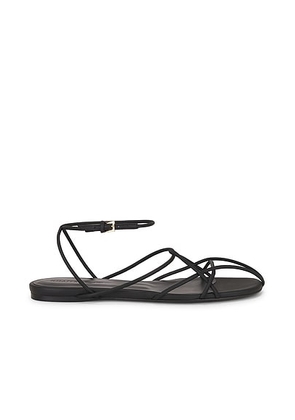 KHAITE Loulou Flat Sandal in Black - Black. Size 36.5 (also in 39, 39.5, 40, 41, 36, 38).
