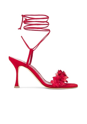 Manolo Blahnik Anista 90 Sandal in Bright Red - Red. Size 36.5 (also in 36, 39.5, 40, 41).