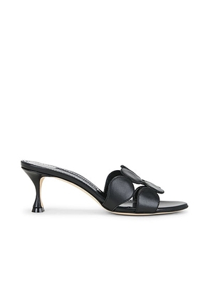 Manolo Blahnik Haribalmu 50 Sandal in Black - Black. Size 39.5 (also in 36, 41).