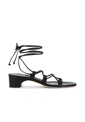 Manolo Blahnik Della San 30 Sandal in Black - Black. Size 38 (also in 36, 38.5, 40).
