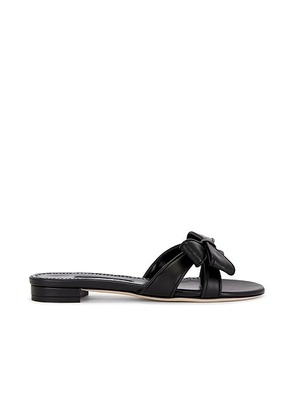 Manolo Blahnik Cafredda Flat in Black - Black. Size 41 (also in 36).