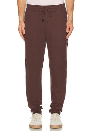 Onia Waffle Jogger in Java - Brown. Size M (also in S, L, XL/1X).