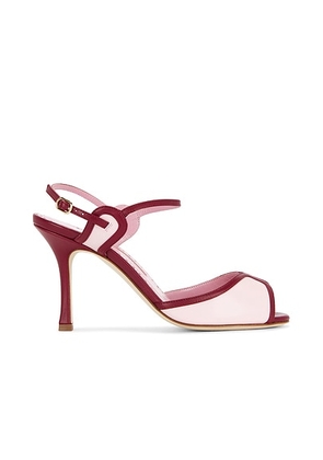 Manolo Blahnik Todda 90 Sandal in Light Pink & Dark Red - Pink. Size 38.5 (also in 36, 39, 40, 41).