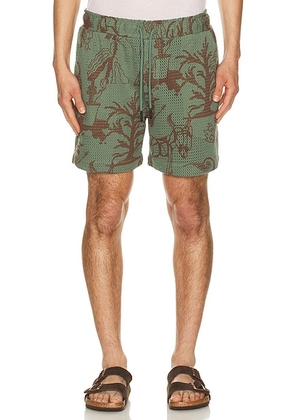 OAS Porto Shorts in Green - Green. Size L (also in M, S, XL/1X).