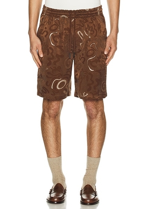 OAS Nicola Shorts in Brown - Brown. Size M (also in L, S, XL/1X).