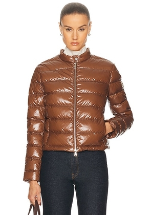 Moncler Papillon Jacket in Open Brown - Brown. Size 3/L (also in 1/S, 2/M).