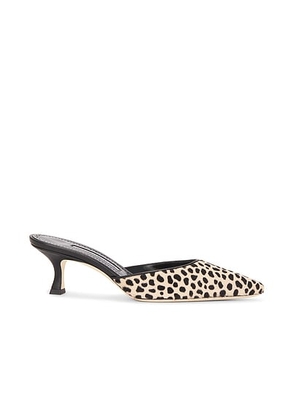 Manolo Blahnik Carolynemu 50 Pump in Black - Black. Size 36 (also in 36.5, 37.5, 38, 38.5, 39, 39.5).