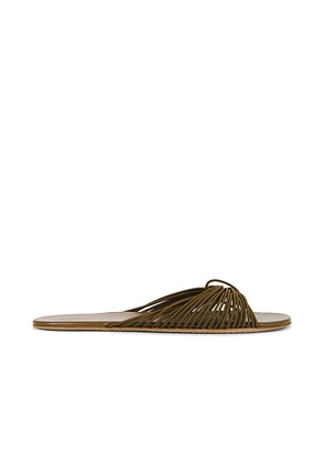 The Row Sara Thong Slide in Mud - Olive,Brown. Size 36.5 (also in 39.5).