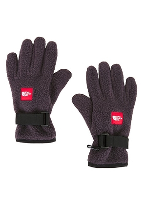 The North Face Red Box Fleece Glove in Obsidian - Blue. Size XL/1X (also in ).