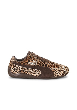 Puma Select Speedcat Wild Sneaker in Chocolate & Warm White - Brown. Size 6 (also in 5.5, 7.5, 8).