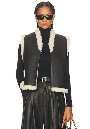 Ralph Lauren Collection Tamlin Vest in Dark Brown - Black. Size S (also in L).