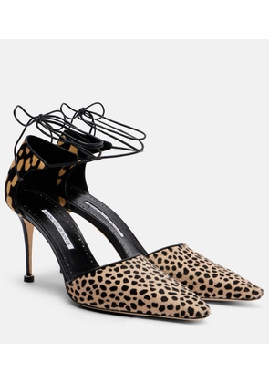 Manolo Blahnik Gambis printed calf hair pumps