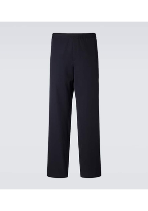 The Row Ari wool wide-leg pants