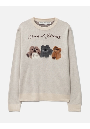 Abc. Best Children Knit Sweater