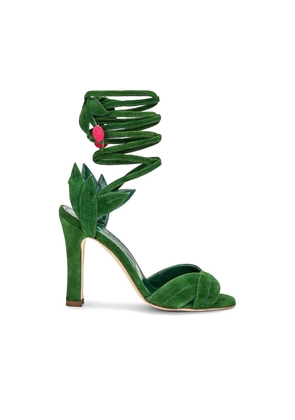 Manolo Blahnik Bicolor Calfskin Strap-On Sandals - EU38.5/US8.5