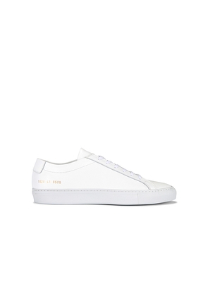 Common Projects Original Leather Achilles Low in White. Size 39. Also in Eur 40 / US 7, 40, 41, 42, 43, 44, 45, 46.
