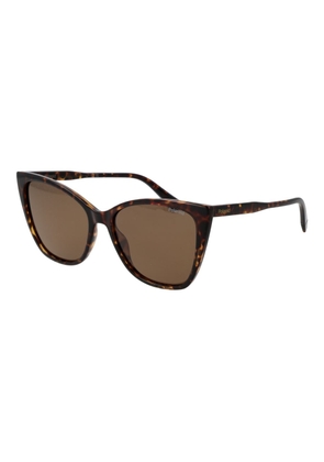 Polaroid Brown Polycarbonate Sunglasses