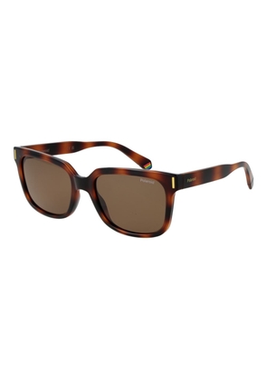 Polaroid Brown Polycarbonate Sunglasses