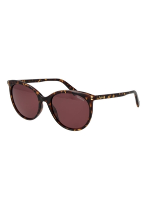 Polaroid Brown Polycarbonate Sunglasses