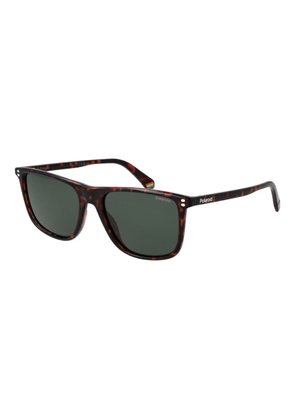 Polaroid Brown Polycarbonate Sunglasses