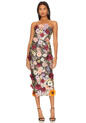 Bronx and Banco Bouquet Dress in Black. Size XS. Also in XXS.