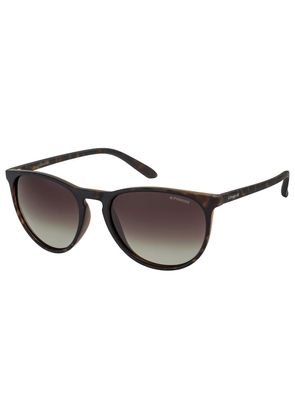 Polaroid Brown Plastic Sunglasses