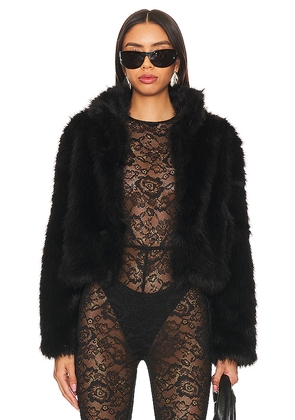 Adrienne Landau Faux Fox Fur Jacket in Black. Size S. Also in L, M.