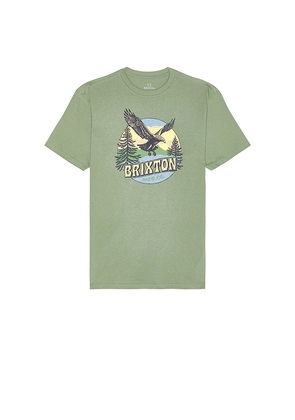 Brixton Ridgewood Tailored Tee in Sage. Size S. Also in L.