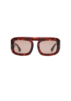 Elisa Johnson Aries Sunglasses in Brown.
