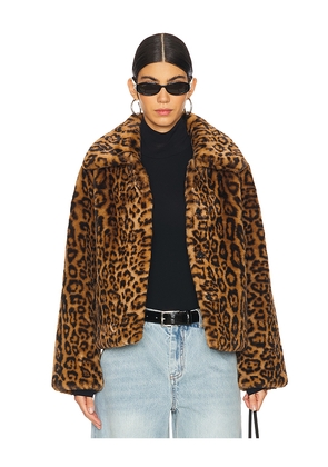 Apparis Elis Leopard Short Coat in Brown. Size M. Also in XXS, XS, S, L.