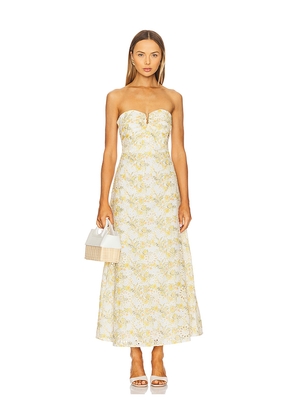 Bardot Lora Broderie Maxi Dress in Yellow. Size 10. Also in 12, 8.