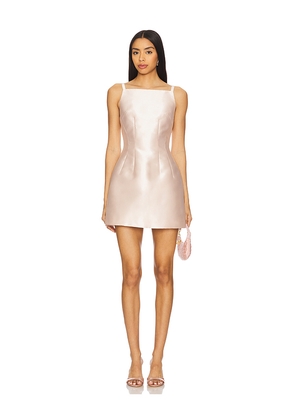 Courtney Zheng Blanche Dupion Mini Dress in Blush. Size S. Also in XS, M.