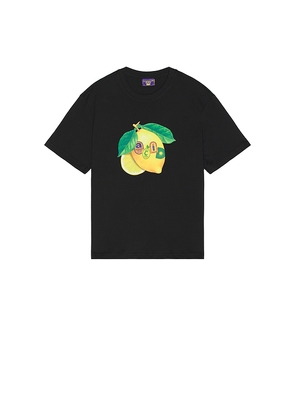 Coney Island Picnic Natures Acid Tee in Black. Size S. Also in L.