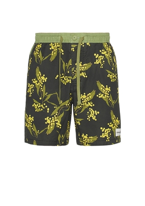 Critical Slide Acarcia 17 Swim Trunk in Black,Green. Size 32. Also in 30, 34.