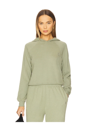 Eterne Shrunken Lightweight French Terry Hoodie Sweatshir in Sage. Size S. Also in XS.