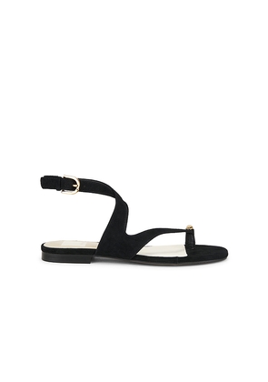 Dolce Vita Earla Sandal in Black. Size 7.5. Also in 6.5.