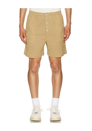 Advisory Board Crystals Tokyo Summer Shorts in Green. Size S. Also in M, XL/1X.