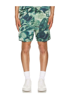 Blue Sky Inn Shorts in Green. Size M. Also in L.