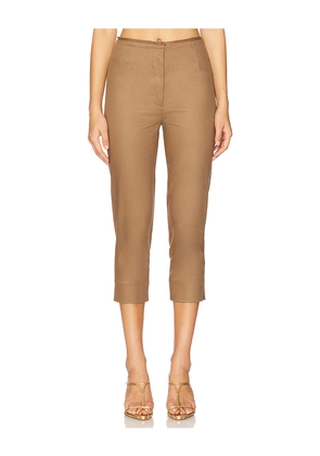 Cult Gaia Blair Pant in Brown. Size 10. Also in 0, 2.