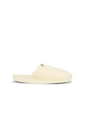 Brunch Essential Spring in Yellow. Size 12/12.5. Also in 9/9.5, 11/11.5, 13/13.5.