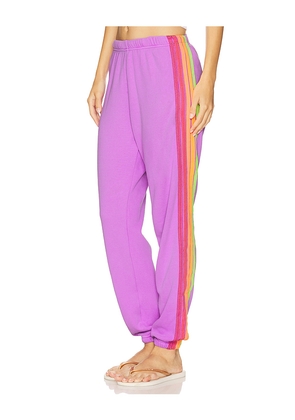 Aviator Nation 5 Stripe Sweatpant in Purple. Size S. Also in XS, M.
