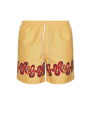 Bather Ochre Dizzy Boa Swim Trunks in Mustard. Size M. Also in S, L, XL/1X.