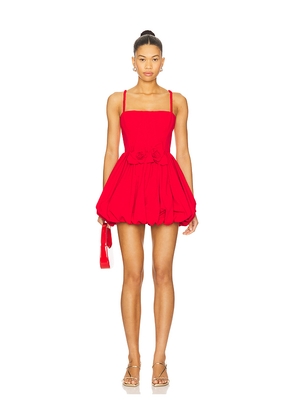 AKNVAS Anais Dress in Red. Size 2. Also in 4.