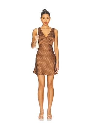 Ciao Lucia Manolo Dress in Brown. Size M. Also in L, S, XL, XS.
